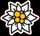 Edelweiss Räumungen